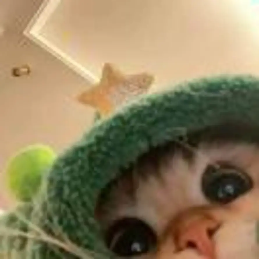 F的头像