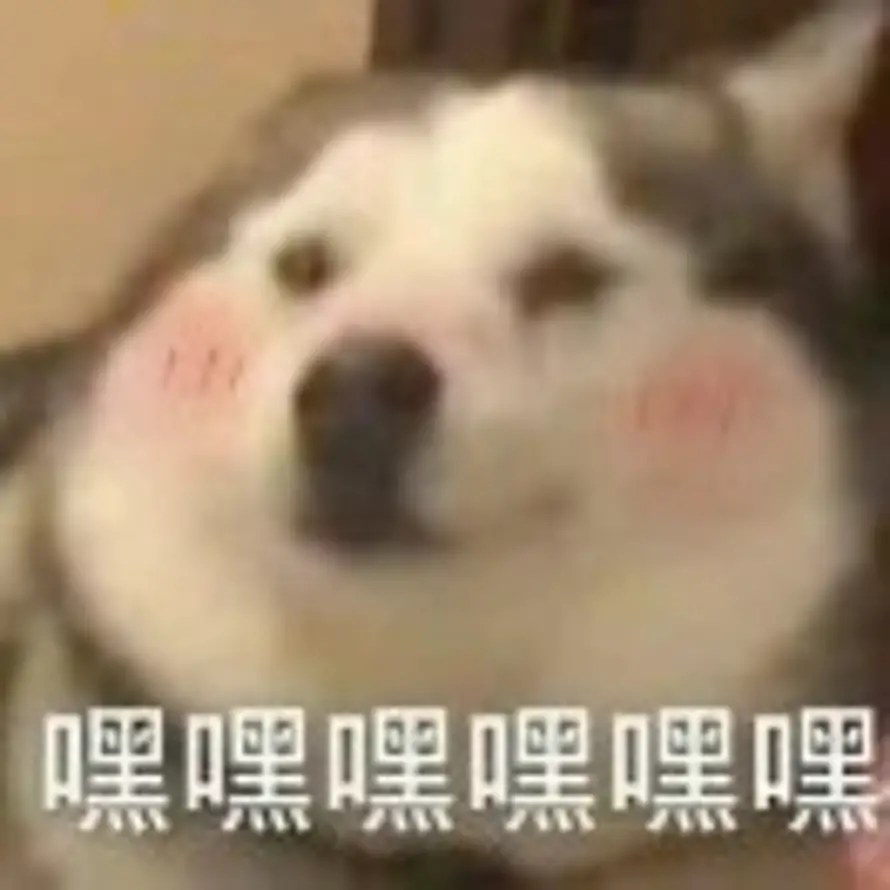 康凯宇的头像