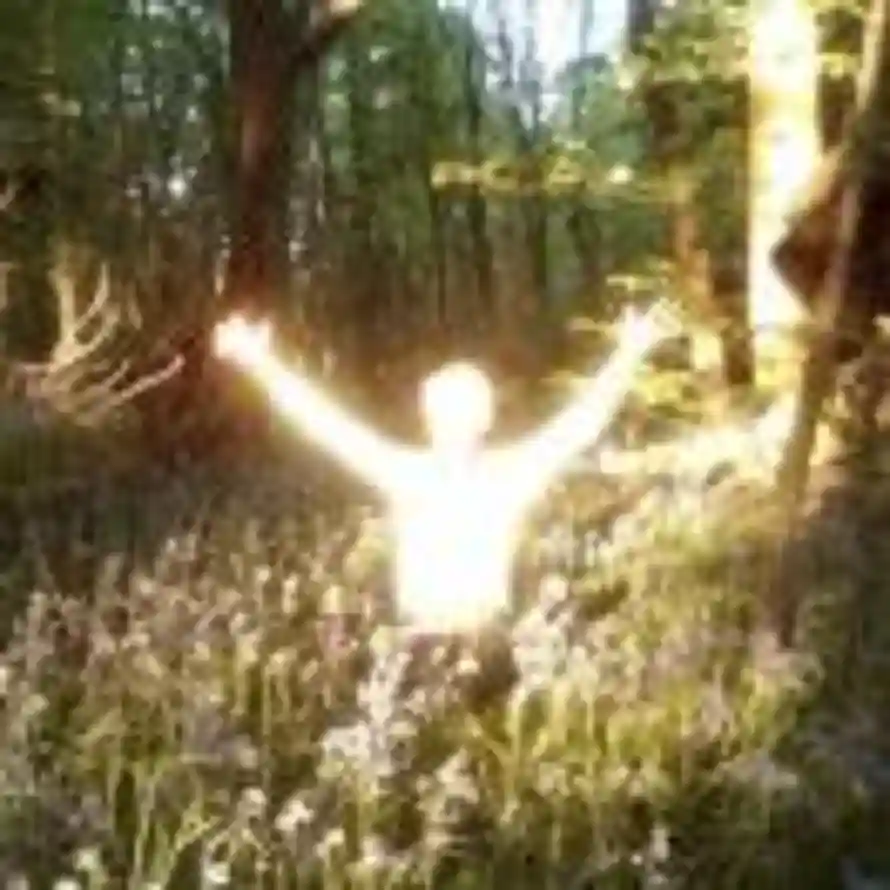 一团风子的头像