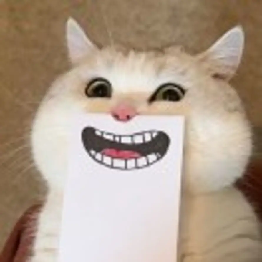 猫猫头的头像