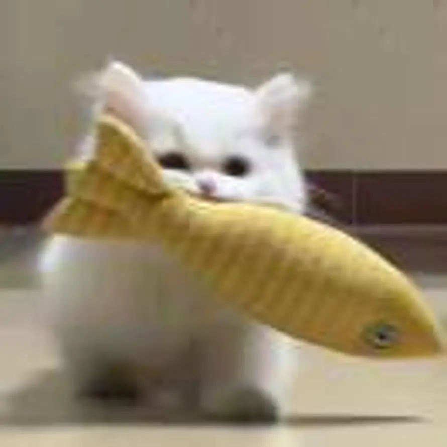 少喝热水的头像