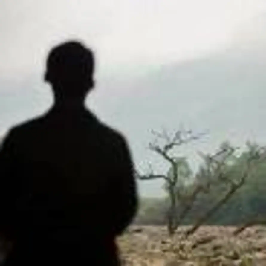 无望参宿的头像