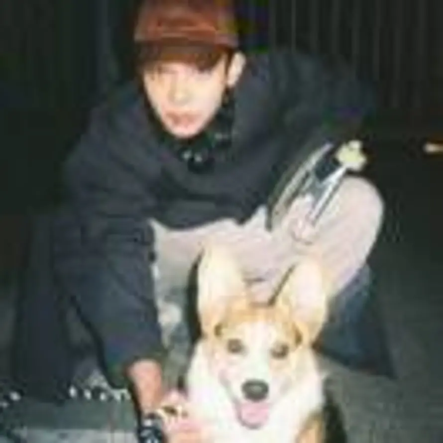 旧城以西的头像