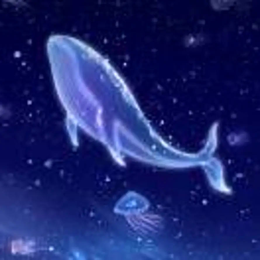 南星寒佛瑾的头像
