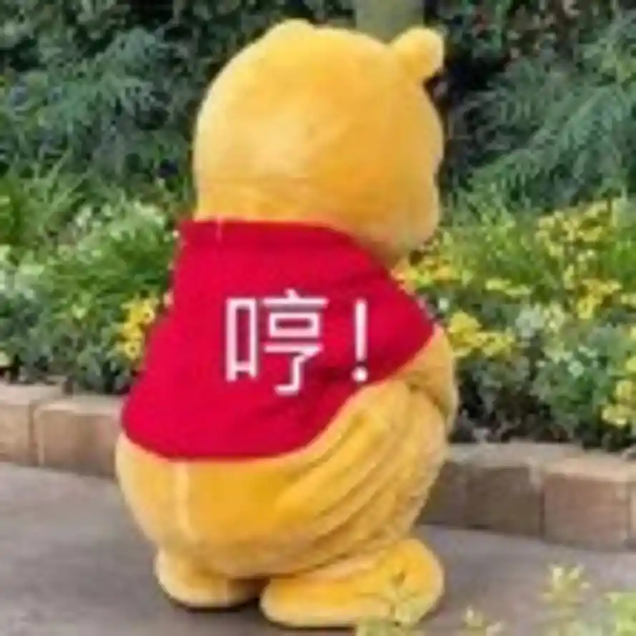 维尼的头像