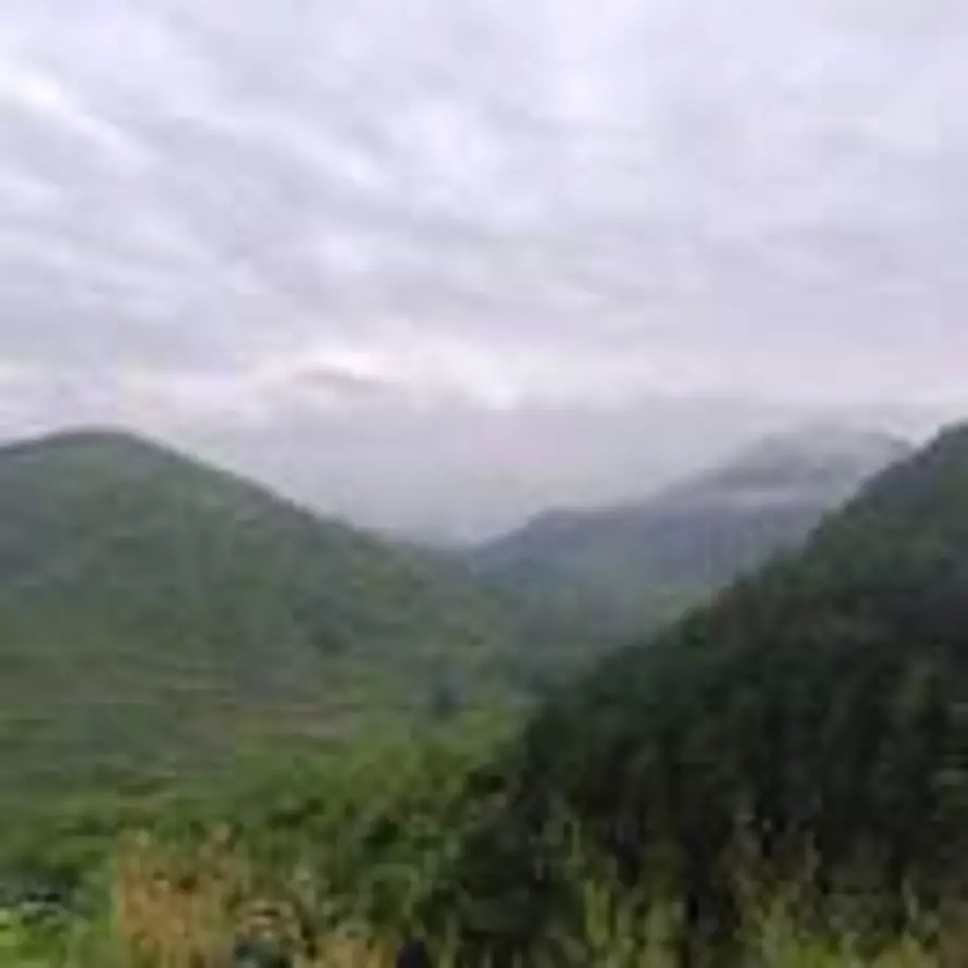 梁山岳的头像