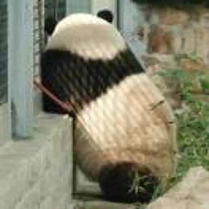 ---蔚蓝---🎳的头像