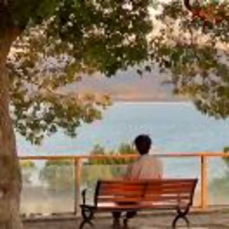 努力  奋斗的头像