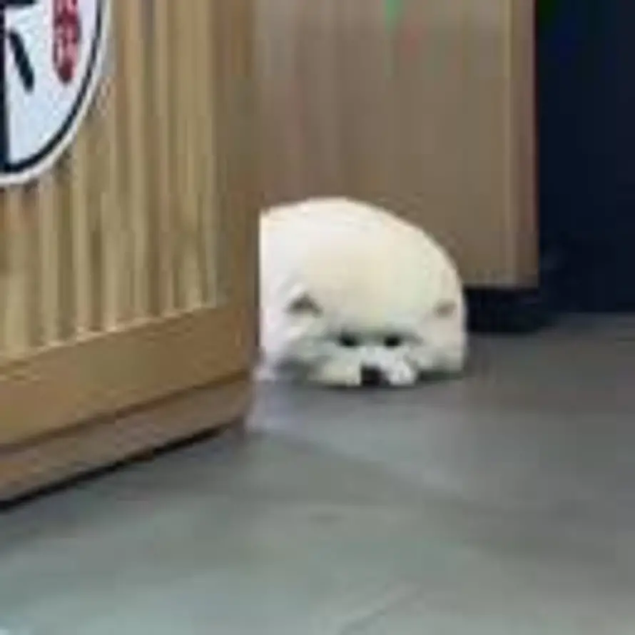 jkroolis的头像