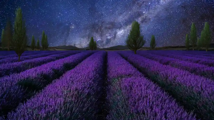 2k夜空壁纸-浪漫夜景和星空-田园风光壁纸推荐「哲风壁纸」