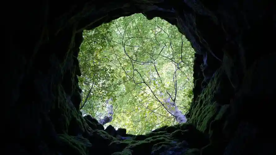 2k光影壁纸-风景 - 绿植-壁纸分享「哲风壁纸」