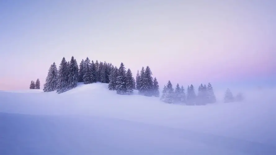 2k自然壁纸-冬季风光与雪景-松林雾凇壁纸分享「哲风壁纸」