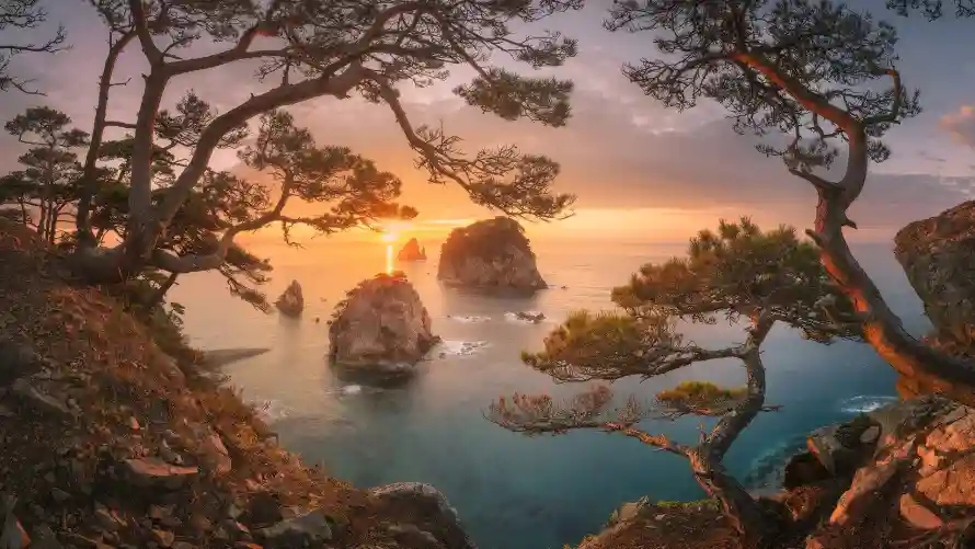 2k自然壁纸-夕阳海景与风景-岩石松树热门的壁纸「哲风壁纸」