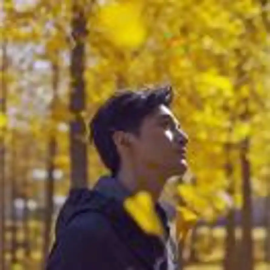 桐瑶知我意的头像