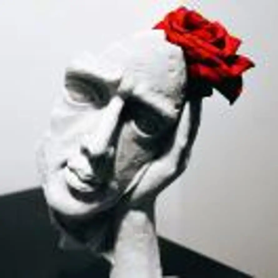 O₂的头像