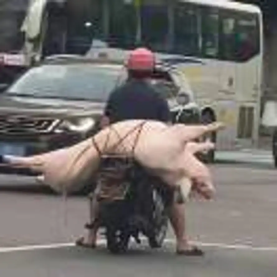 葁銘穻的头像