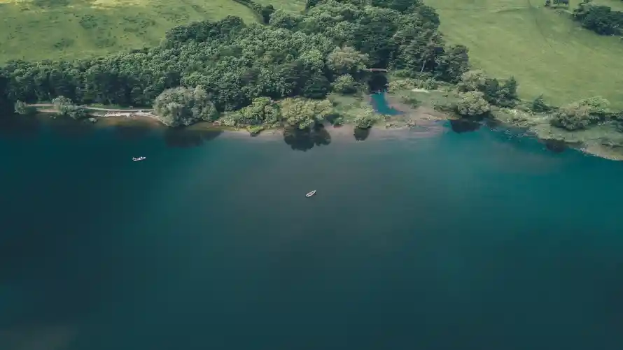 4k自然壁纸-森林植被和风景-森林湖泊壁纸推荐「哲风壁纸」