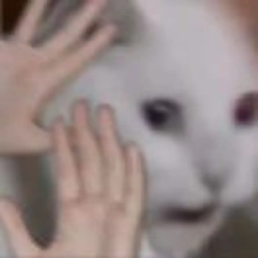 再睡五分钟的头像