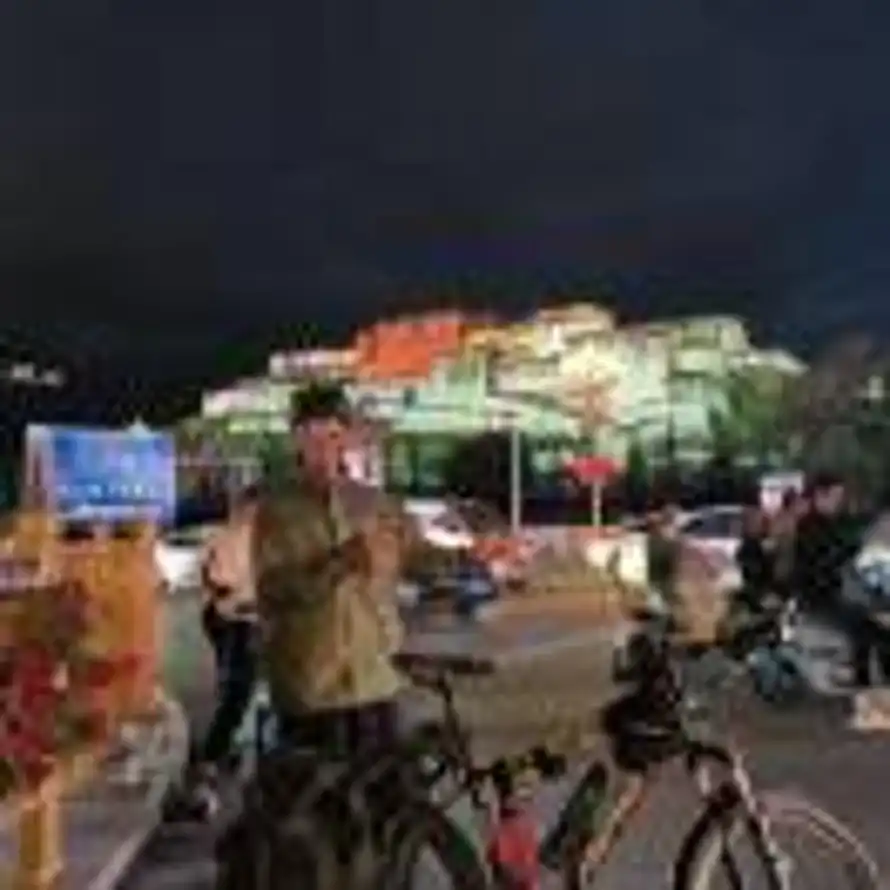 平头的春天的头像