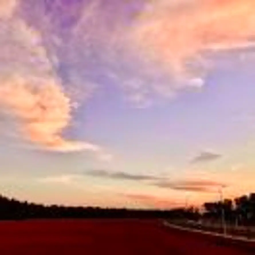 潘  金 ᯤ⁵ᴳ的头像