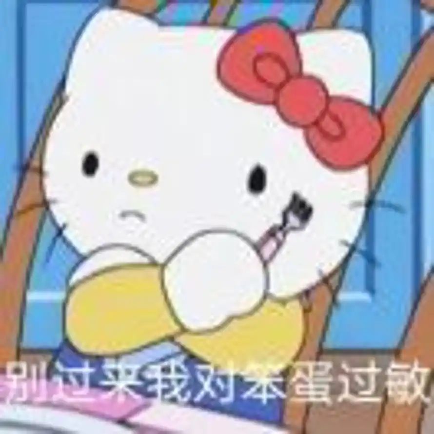 momo的头像