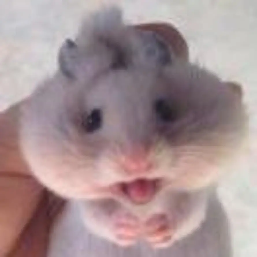 Jerry的头像