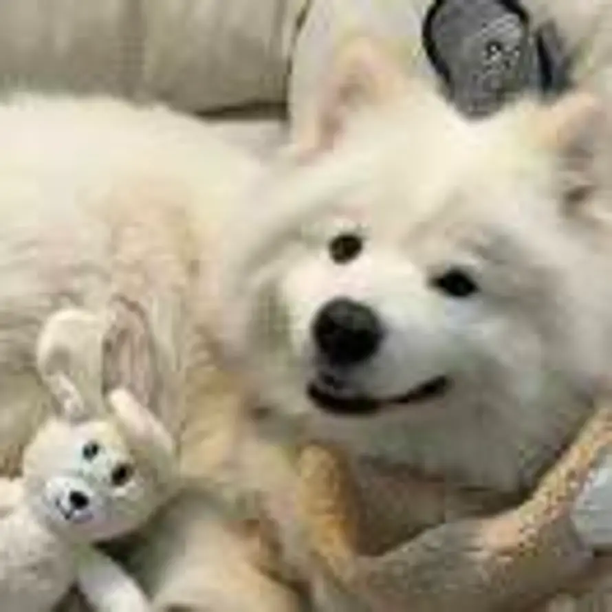 ꯭瑜꯭的头像