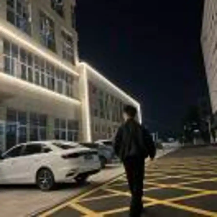 ㅤㅤㅤㅤㅤX的头像