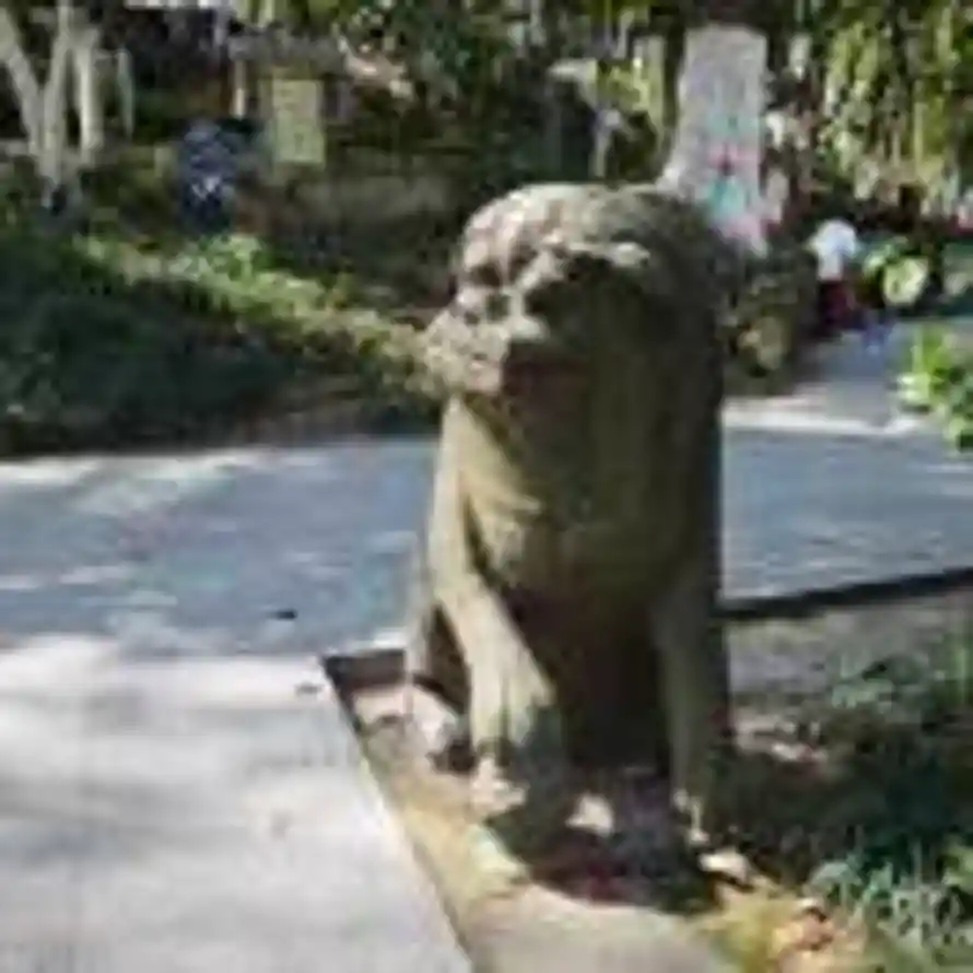浪迹天涯的头像