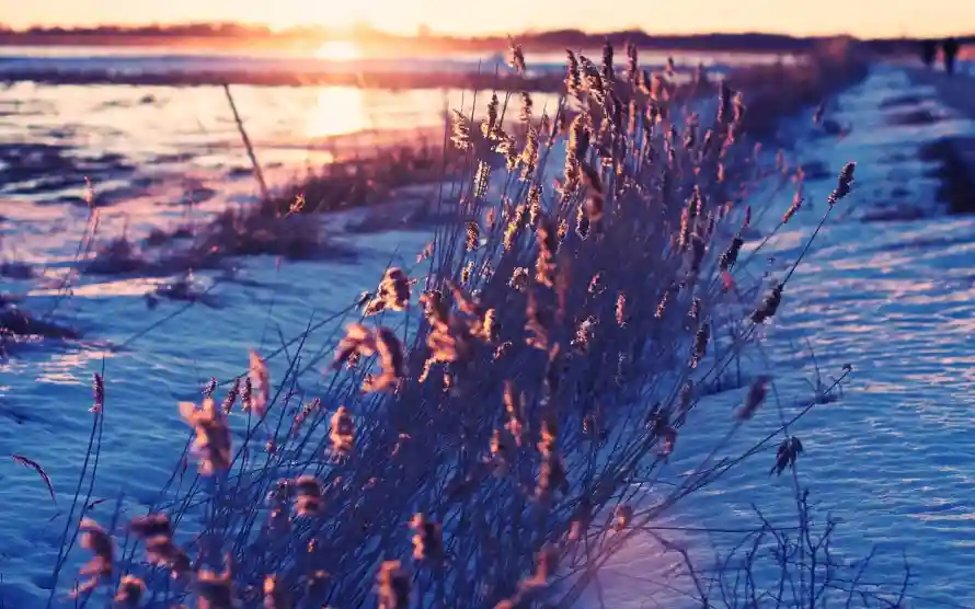 2k自然壁纸-冬季雪地与风景-冬日夕阳壁纸分享「哲风壁纸」