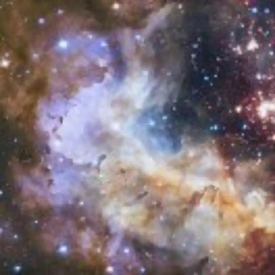 实在橙子3o2的头像