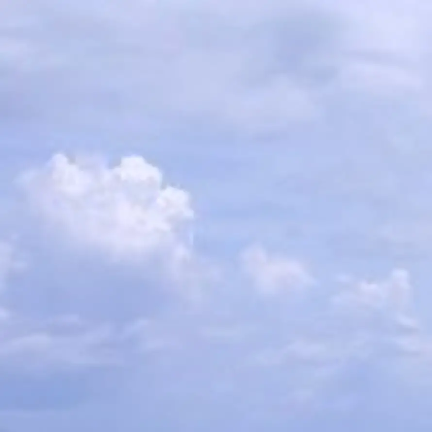 nen的头像