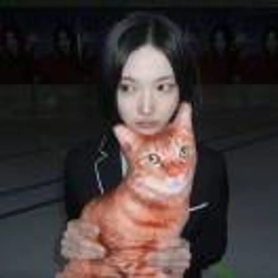trác linh的头像