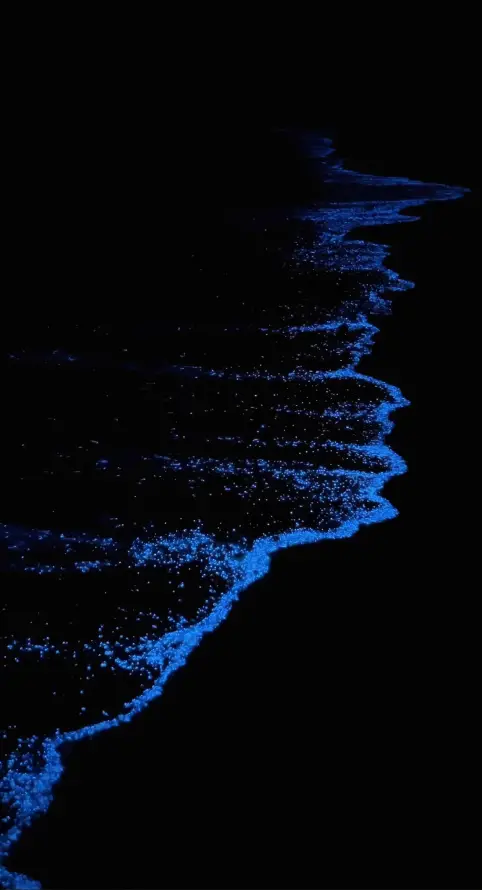 4k海洋风光壁纸 - 梦幻海洋 - 黑色沙滩 - 荧光海浪「哲风壁纸」