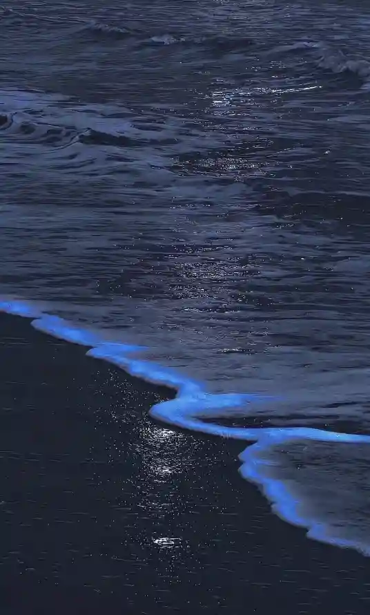 4k自然奇观壁纸 - 黑色沙滩 - 荧光海浪 - 海洋夜景「哲风壁纸」