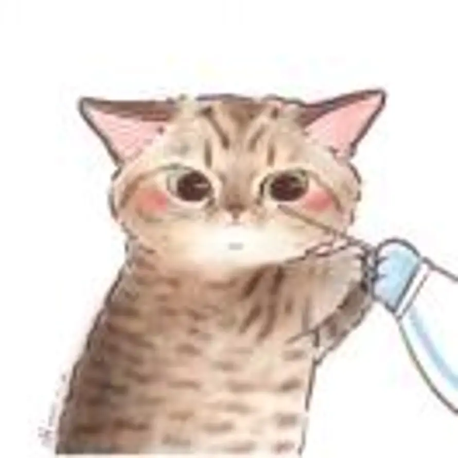 蔡蔡的头像