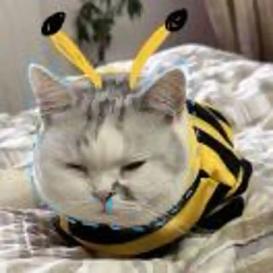 .的头像