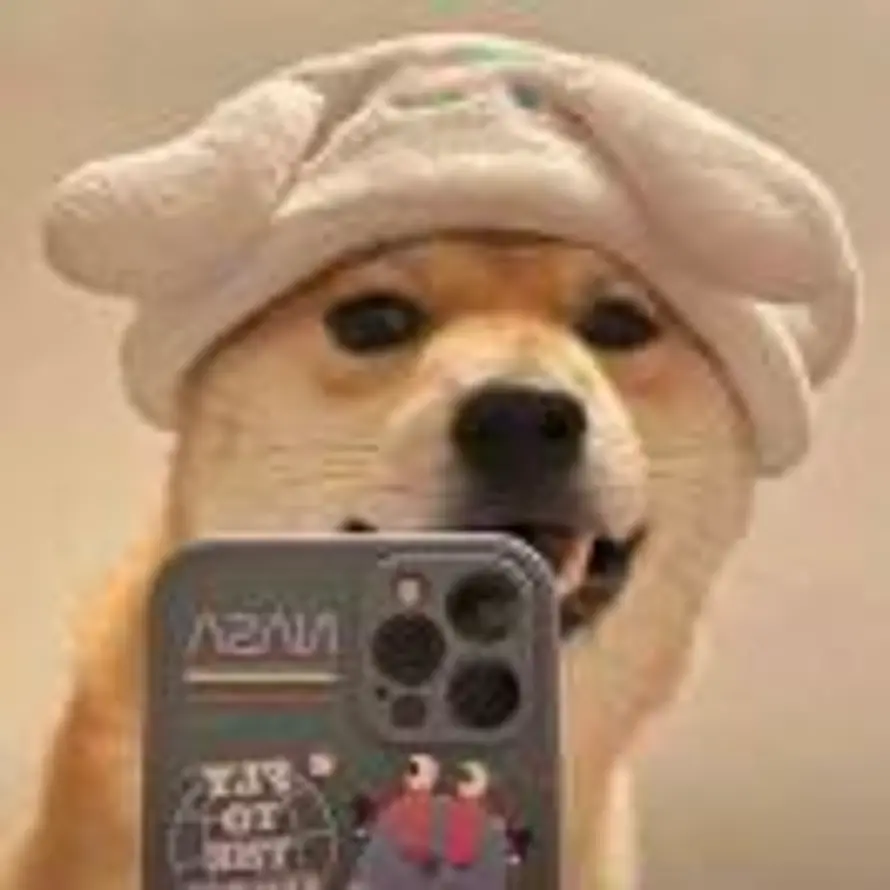 仁済板橋双的头像