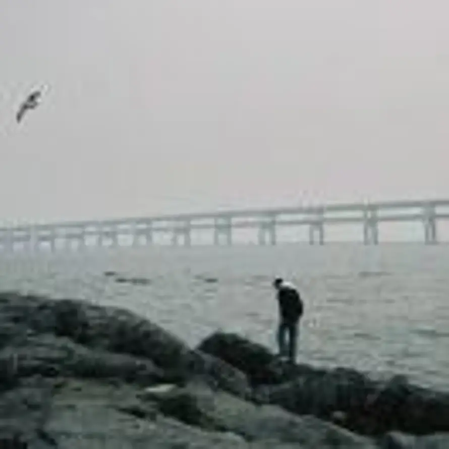 信心花舍的头像