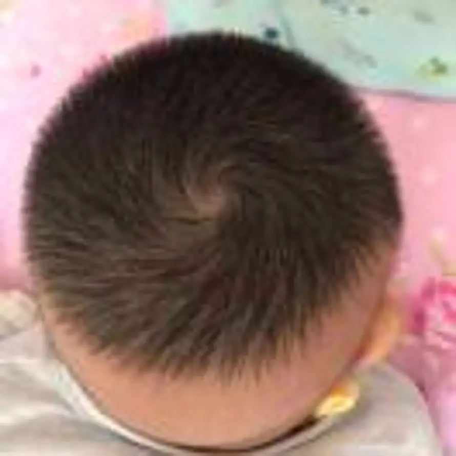 蒋新 17699333222的头像