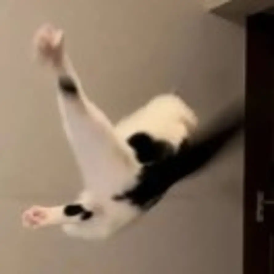 可夕的头像