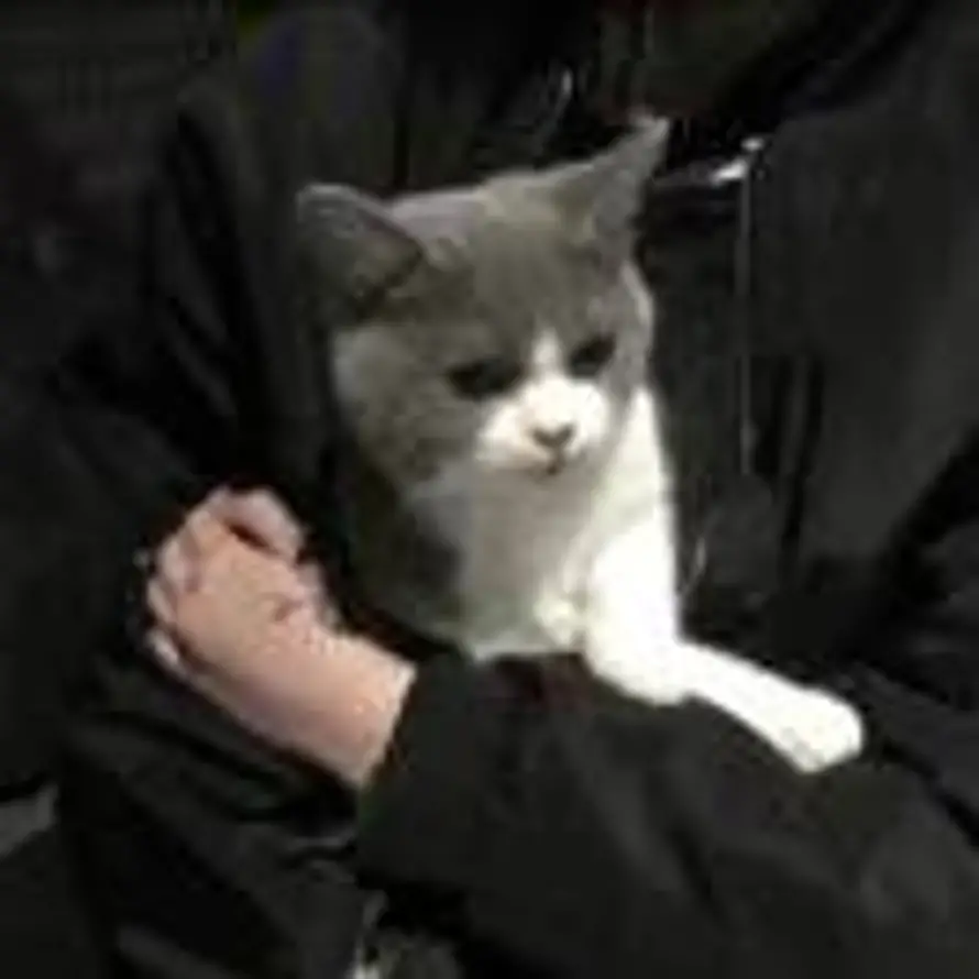 冬眠的头像