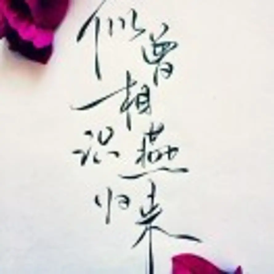 ꧁༺逐梦之路༻꧂的头像
