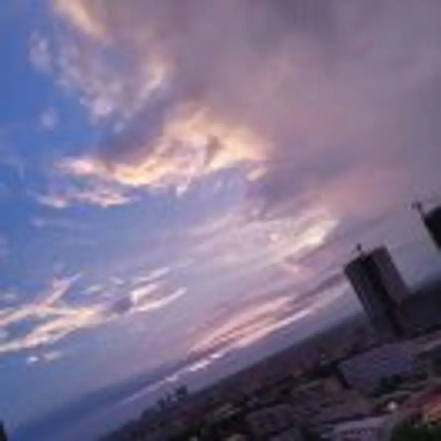 思维僵化丶的头像