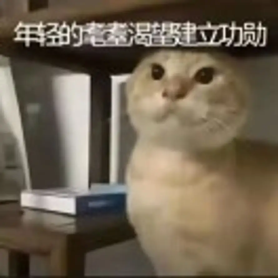 AAA撒哈拉鱼苗批发的头像