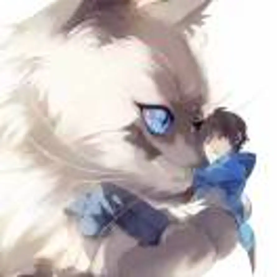 Neko的头像