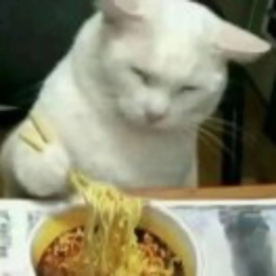 杠上开花的头像