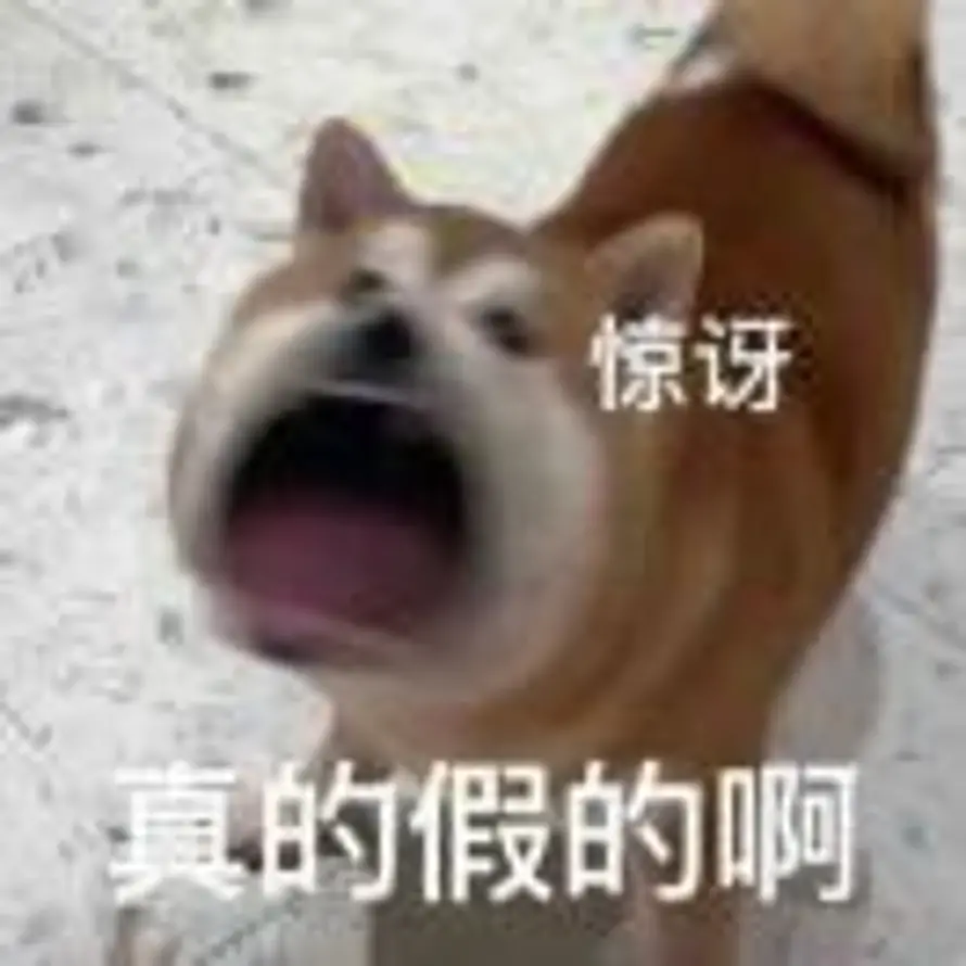 银河潜水艇的头像