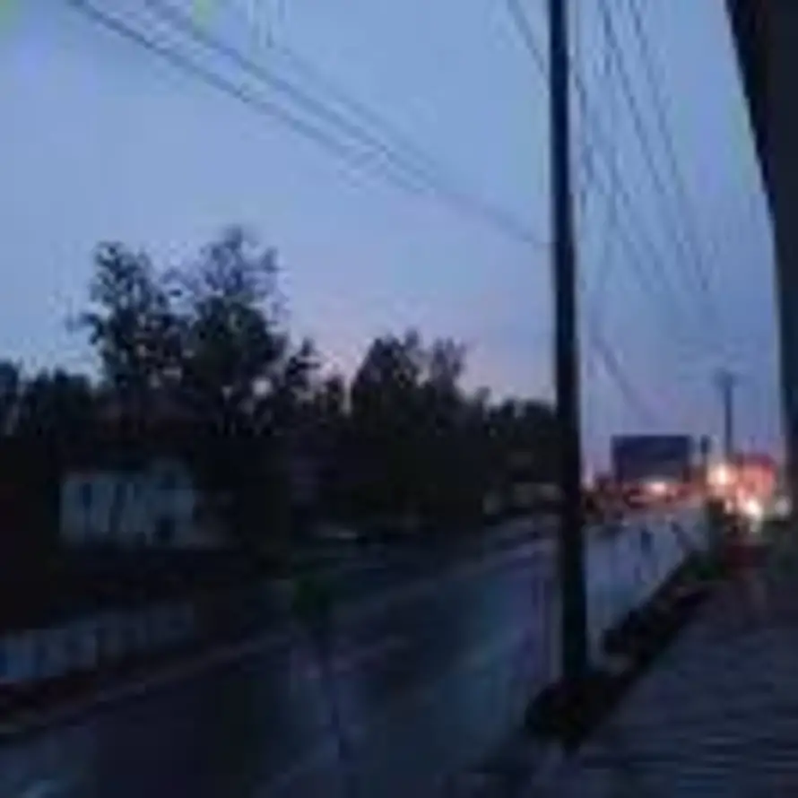 杨家齐ㅤ的头像