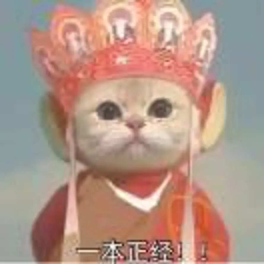 嗼枫的头像